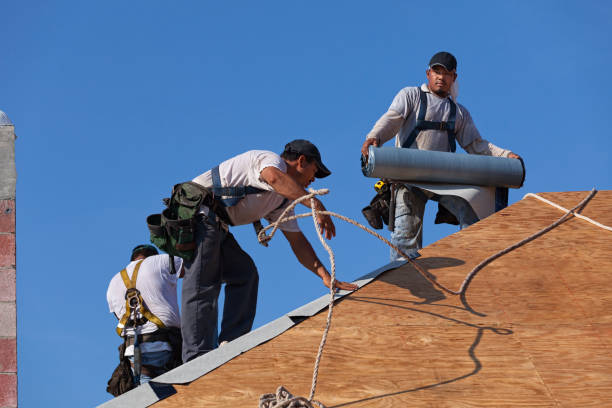 Best Roof Leak Repair  in Shell Lake, WI